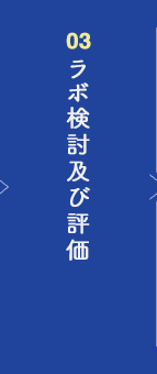 ラボ検討及び評価